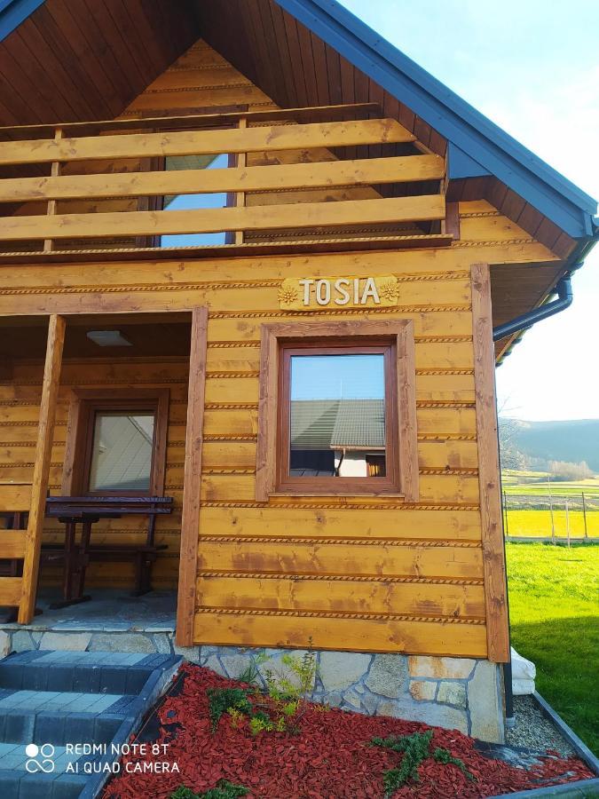 Zajazd ,,Rys" Dobra  Kültér fotó